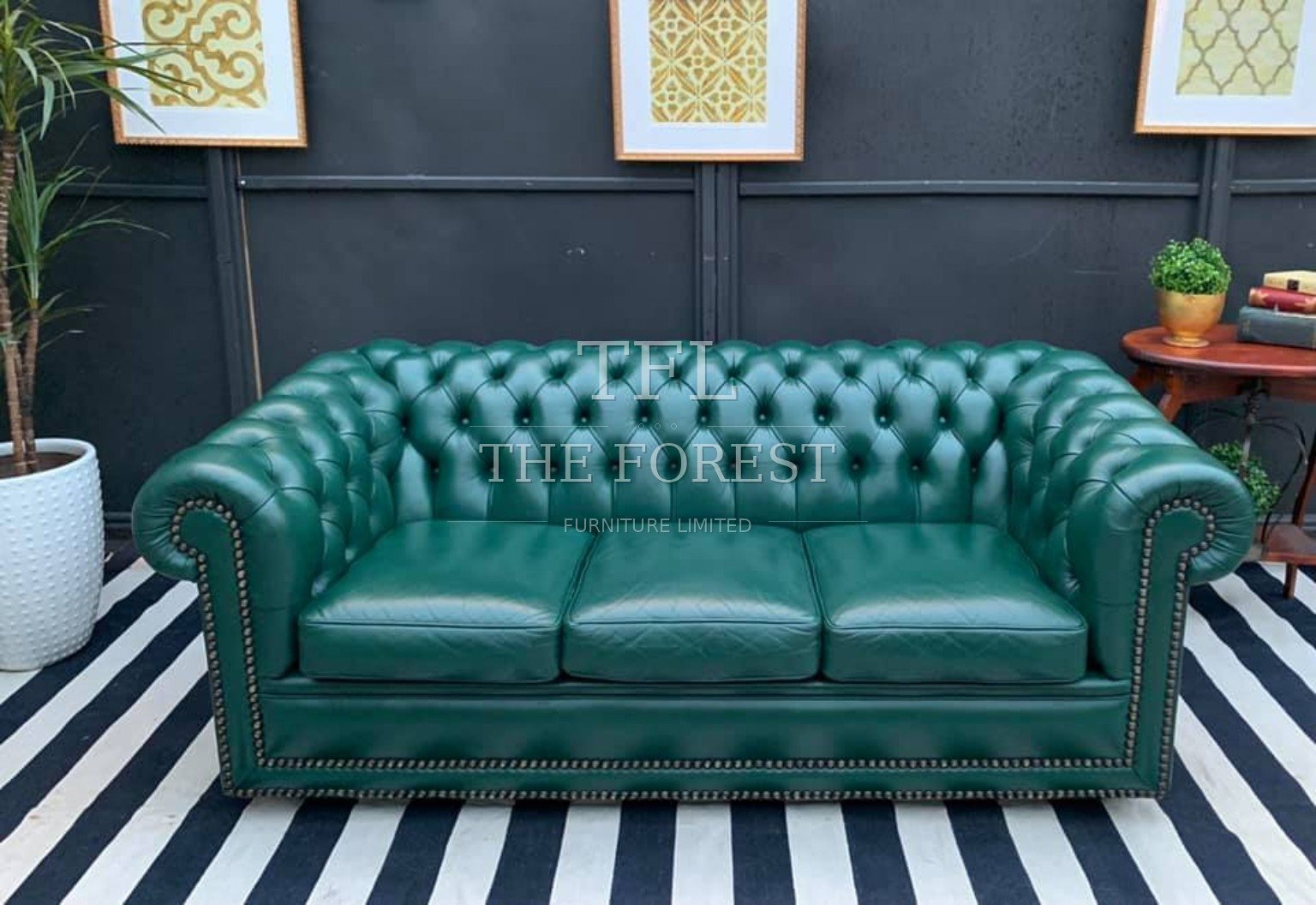 Royal British Chesterfield teal sofa color option
